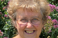 Wendy FianderWilcove WI