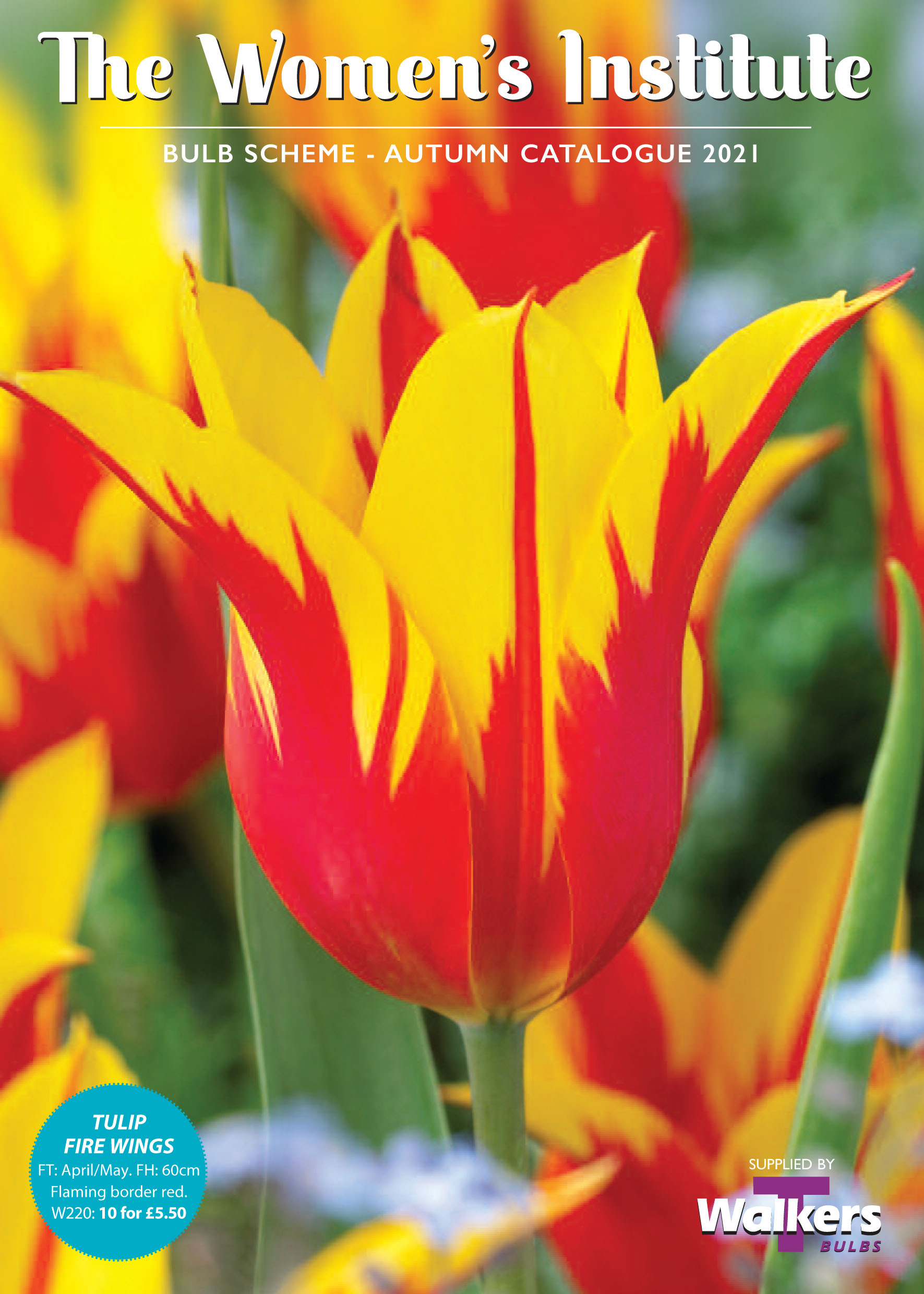 Blooming Good Bulbs! CORNWALL FEDERATION OF WOMEN'S INSTITUTES