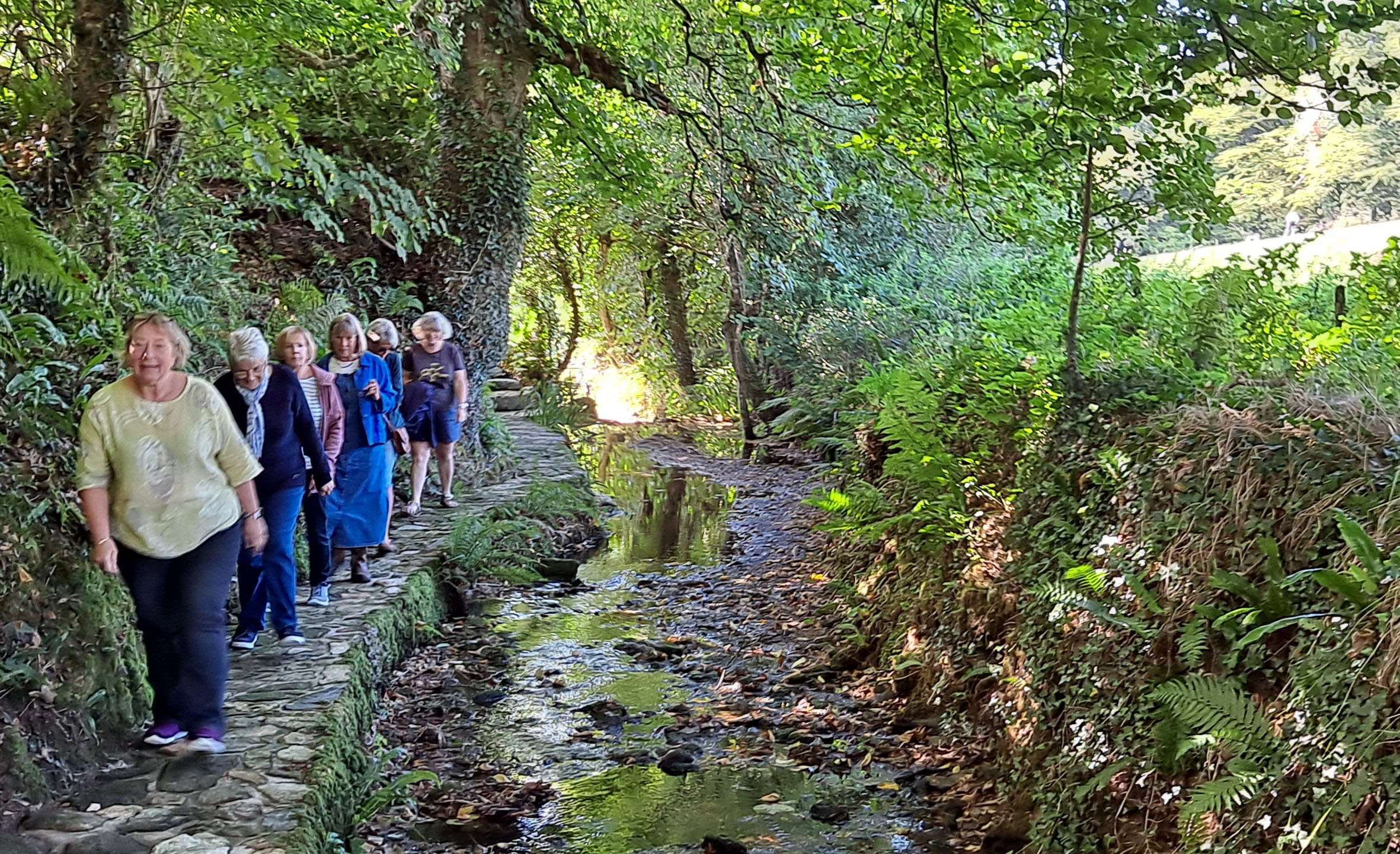 Boscastle WI’s Garden Club Thrives – CORNWALL FEDERATION OF WOMEN'S ...