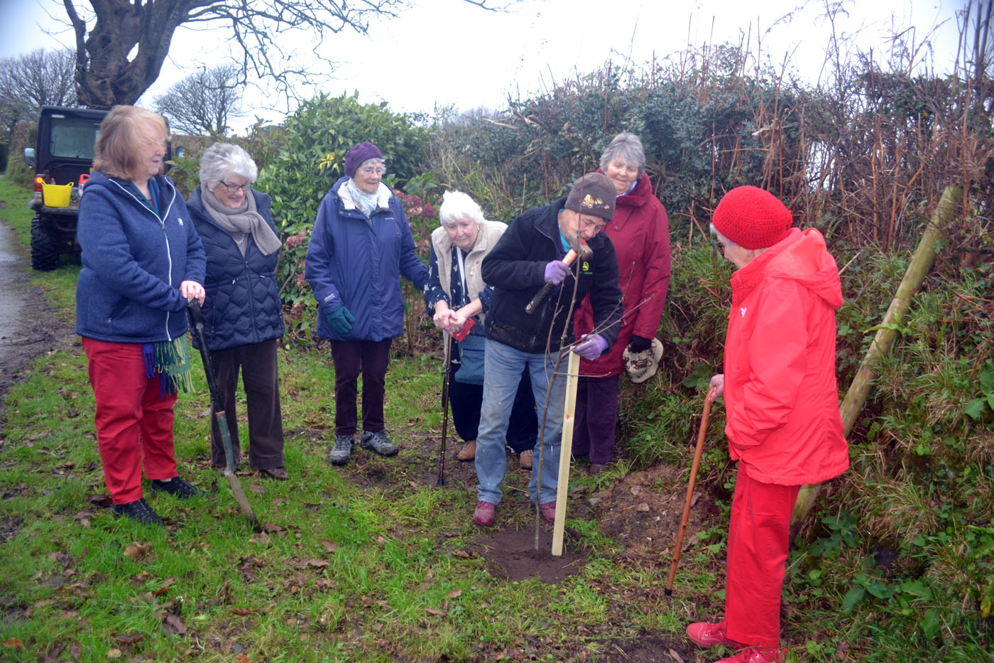 Perranuthnoe & District WI: Forest for Cornwall – CORNWALL FEDERATION ...