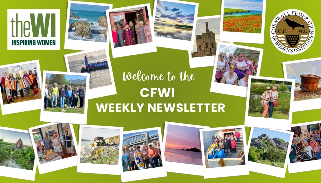Have you read our new CFWI Newsletter? – CORNWALL FEDERATION OF WOMEN'S ...